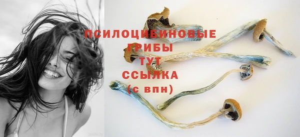 соль курить ск Алзамай