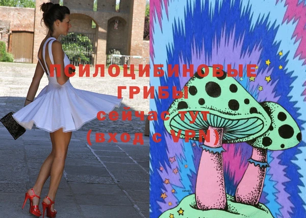 PSILOCYBIN Алексин