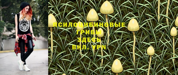 соль курить ск Алзамай