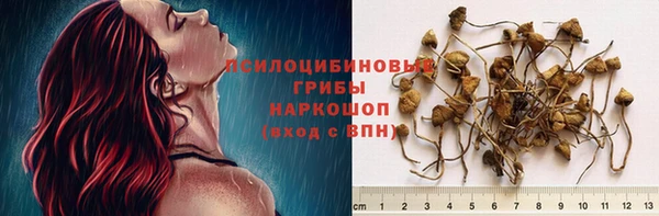 PSILOCYBIN Алексин